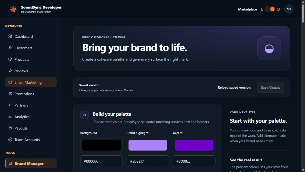 Current dark-theme Brand Manager Visuals workspace with palette and appearance controls.