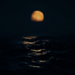 track-artwork